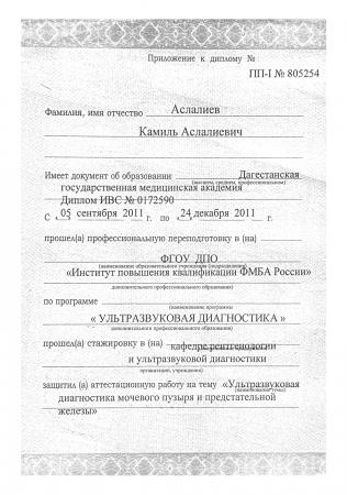 Приложение к диплому