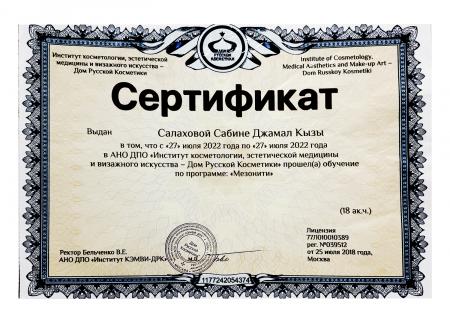 Сертификат об успешном обучении по программе "Мезонити"